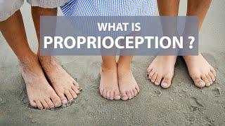 What is Proprioception?