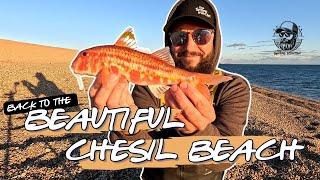 Back To The Beautiful Chesil Beach | Fishing The Mighty Chesil 