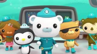 Octonauts: Creature Reports - Baby Eels
