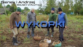 Kopanie ziemniaków u Gienka i Andrzeja z Plutycz