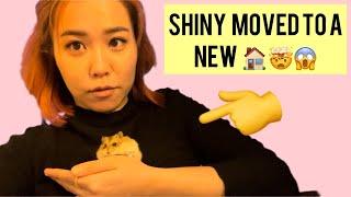 Shiny's New Home | SHINY-ын Шинэ Гэртэй нь Танилцаарай