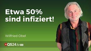 Helicobacter-Infektion als neue Volksseuche? | Erfahrungsmedizin | QS24 Gesundheitsfernsehen