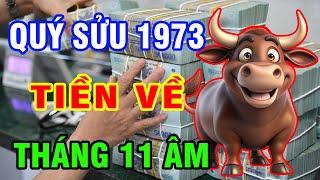 Tử Vi Tháng 11 Âm Tuổi Quý Sửu 1973 Số Mệnh Giàu Sang Phát Tài Đổi Vận Tiền Tỷ Đếm Sái Tay