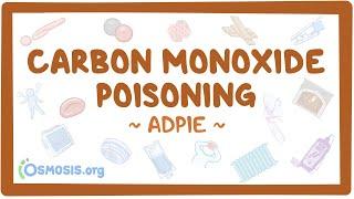 Carbon monoxide poisoning: Nursing Process (ADPIE)