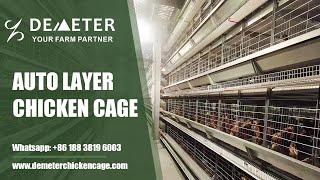 Innovative Modern Poultry Cages Automated Layer Battery Chicken Cage System for Lusaka Zambia