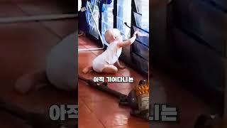 세상에서 가장 귀여운 아기와 강아지의 팀워크