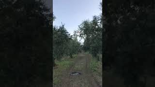 AGROKARADAG - Green Life