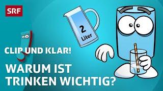 Warum müssen wir Wasser trinken? | SRF Kids – Clip und klar! | Für Kinder erklärt