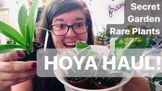 HOYA UNBOXING! Secret Garden Rare Plants