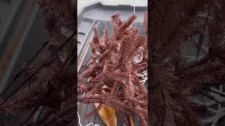 Ugly Tree Fish Habitat Installation Video