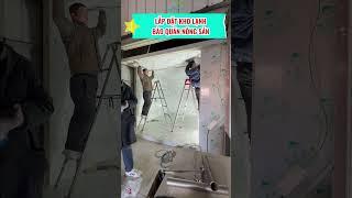 Lắp đặt kho lạnh bảo quản nông sản #kholanh #shortvideo #nongsan