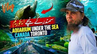 Aquarium Under The Sea In Canada Toronto - Mufti Tariq Masood Vlogs