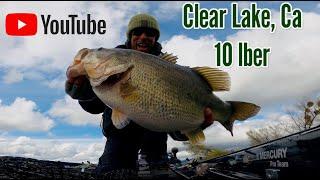 Big Swimbait Fishing Double Digit Bass on Clear Lake, Ca 2024!!