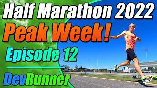 DevRunner: Half Marathon 2022 - Peak Week - Episode 12