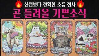 [타로] 소름돋게 맞는 곧 들려올 기쁜소식, 마음깊이 기원합니다