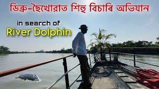 ডিব্ৰু-ছৈখোৱাত শিহু বিচাৰি অভিযান - in search of River Dolphin
