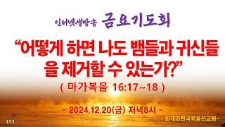 인터넷생방송 금요기도회(2024.12.20/금, pm.8시) "어떻게 하면 나도 뱀들과 귀신들을 제거할 수 있는가?"(막16:17~18)_동탄명성교회 정보배목사