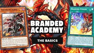 The Branded Despia Basics | Branded Academy EP.1