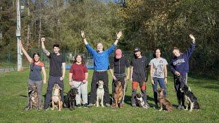 Curso de adiestrador canino homologado PRESENCIAL