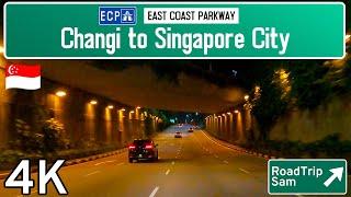 Drive into Singapore at night  - POV / music