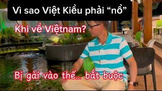 Vì Sao Việt Kiều Phải "Nổ" Khi Về Việtnam? – Câu Chuyện Tình Yêu Đầy Nước Mắt