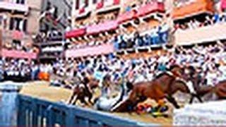 Palio - Horse Race Disaster - Siena, Italy, 2014