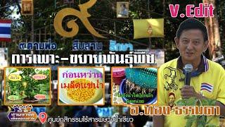 เรียนรู้ "องค์ความรู้..การเพาะ-ขยายพันธุ์พืช" อ.ทอง ธรรมดา//สามอาชีพฯ