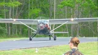 Mint Dehavilland Beaver at Sugar Valley