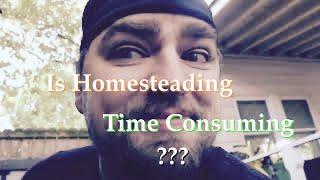 Is Homesteading Time Consuming | Sovereign Provisions Homestead