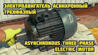 49КГ МОТОР. Быстный разбор / 49KG MOTOR. Quick disassemble