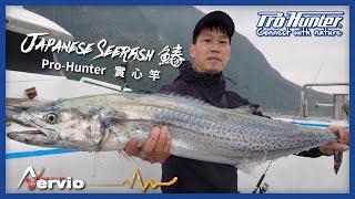 2023 Pro-Hunter Japanese Seerfish鰆 ft.Kaido NERVIO 實心竿