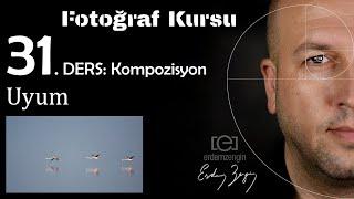 Fotoğraf Kursu  31. Ders: Kompozisyon / Uyum