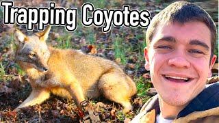 How to set a Dirt Hole Set for Coyotes, Fox, and Bobcat - Kendall Gray