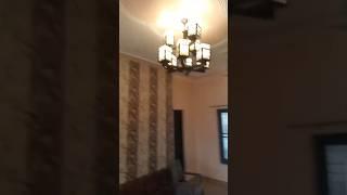 Sell house Fully Furnished Basement House With Pool & HomeTheatre For Sale #shortvideos #viralree