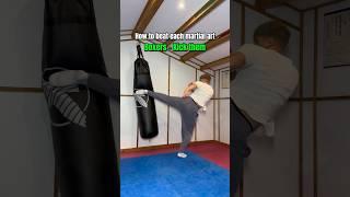 How to BEAT each martial art