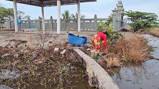 Vợ Chồng Miền Tây Bẫy Chuột Tạc Theo Đám Cỏ Với Khu Biệt Thự@vochongmientaytv