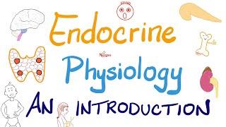 Endocrine Physiology - Introduction - Endocrinology Series