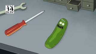 Rick and Morty Season 3: I'M PICKLE RICK!