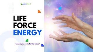 What Is Universal Life Force Energy ?