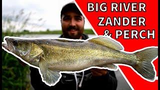 Big River Zander and Perch - Lure fishing UK- Texas Rig