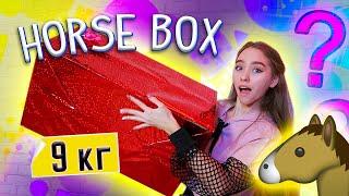 БОЛЬШАЯ распаковка Horse BOX !