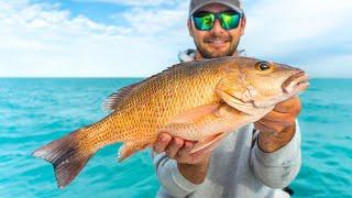 This Spot Was LOADED with BIG Snapper! (Surprise Catch)