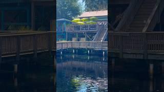 Happy Hour at the RiverGrill on the Tomoka. #shorts
