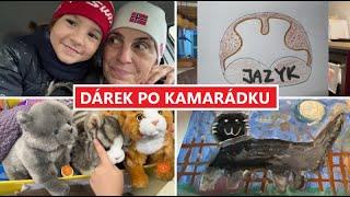 NEPOVEDENÁ OPERACE, DÁREK PRO KAMARÁDKU  | MamaVlog#600 | Máma v Německu