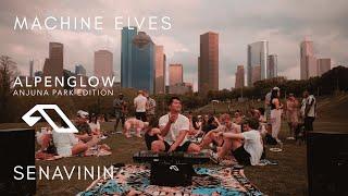 Deep & Melodic House Set in a Houston Park // Alpenglow Anjuna Edition // Senavinin // Machine Elves