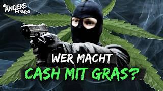 Cannabis Legalisierung: Wer wirklich profitiert | Die andere Frage