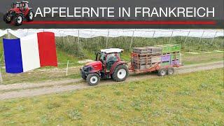 Apfelernte in Frankreich I Lintrac 100