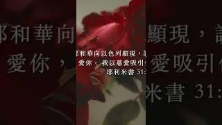 I Love you奇蹟音樂｜Instrumental Soaking Music By Miracle Music #睡覺音樂 #放鬆音樂 #worshipinstrumental