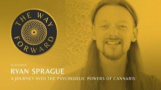 A Journey Into The Psychedelic Powers of Cannabis featuring Ryan Sprague