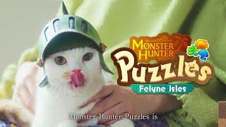 Monster Hunter Puzzles Promo - A Message From Your Felyne - Day Edition